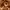 https://res.cloudinary.com/billionhands/image/upload/v1775377704/items/ewbsczinpbegltklxndu.jpg-2cover