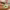 https://res.cloudinary.com/billionhands/image/upload/v1775377821/items/nxop9knt17ezfh2mb85c.jpg-2cover