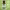 https://res.cloudinary.com/billionhands/image/upload/v1775378007/items/fm9mlh6rndmngoghk7iy.jpg-1cover