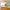 https://res.cloudinary.com/billionhands/image/upload/v1775378224/items/hi3gyp3ut2yt7ikvctsc.jpg-1cover