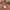 https://res.cloudinary.com/billionhands/image/upload/v1775378435/items/acsw6cbzzykolgcfb3ue.avif-2cover