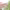 https://res.cloudinary.com/billionhands/image/upload/v1775378435/items/pwf5ssr7gl9wah3f09l0.jpg-2cover