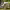 https://res.cloudinary.com/billionhands/image/upload/v1775378498/items/isr6ypywe0ofb30irs65.webp-3cover