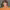 https://res.cloudinary.com/billionhands/image/upload/v1775378575/items/hdavavsxcp6mdxbsqmcg.jpg-1cover