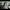 https://res.cloudinary.com/billionhands/image/upload/v1775378595/items/pn36hp1b37qoadti0seq.jpg-1cover