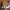 https://res.cloudinary.com/billionhands/image/upload/v1775378784/items/pjkyw4jqnohq2wwm74py.jpg-3cover