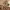 https://res.cloudinary.com/billionhands/image/upload/v1775378972/items/zxew1gkdvwjphw6j0zpu.jpg-2cover