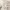 https://res.cloudinary.com/billionhands/image/upload/v1775378976/items/zpy96iudtip414nuuoxc.webp-3cover