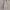 Polka Dot A-Line Dress (Online Exclusive) (2026) cover