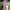 Silent Luxury Long Dress (Invitadisima) (2026) cover