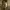 https://res.cloudinary.com/billionhands/image/upload/v1775379631/items/w4bighxozzgkhfpvdyxg.webp-3cover