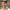 https://res.cloudinary.com/billionhands/image/upload/v1775379633/items/xyjsplldlxjj6yb3mzln.avif-2cover