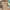 https://res.cloudinary.com/billionhands/image/upload/v1775379635/items/ynmqwtpjn6uup7lrgjsb.webp-3cover