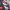 https://res.cloudinary.com/billionhands/image/upload/v1775379735/items/okjqu0fzkpiexsctugdx.jpg-2cover