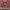https://res.cloudinary.com/billionhands/image/upload/v1775379739/items/mwbuk528pwm1slmi9rfp.jpg-0cover