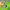 https://res.cloudinary.com/billionhands/image/upload/v1775380043/items/iylcdt9wckpkna6lzmel.webp-2cover