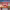 https://res.cloudinary.com/billionhands/image/upload/v1775380368/items/gck0b8qkxnzba56yncmg.jpg-1cover