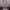 https://res.cloudinary.com/billionhands/image/upload/v1775380551/items/vqz7ro5f3rfrixpzrulq.jpg-3cover