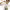 https://res.cloudinary.com/billionhands/image/upload/v1775380659/items/fbyb6i3kpgwhmoqfvchf.webp-0cover