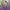 https://res.cloudinary.com/billionhands/image/upload/v1775380689/items/hdq7kxtuhcjdvvcrdw9a.jpg-2cover