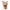 https://res.cloudinary.com/billionhands/image/upload/v1775381240/items/uo9saymvkm4atwm5l5et.webp-2cover
