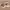 https://res.cloudinary.com/billionhands/image/upload/v1775381252/items/kheisidjx2fg2memceu1.jpg-2cover