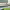 https://res.cloudinary.com/billionhands/image/upload/v1775381687/items/ldzxx799oz69qqhdrzdr.jpg-1cover