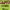 https://res.cloudinary.com/billionhands/image/upload/v1775382421/items/pwiy4ynohlmmom1g3xaa.jpg-0cover