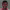 https://res.cloudinary.com/billionhands/image/upload/v1775383395/items/o3obn9nxc4nml8aeoi2c.jpg-1cover