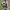 https://res.cloudinary.com/billionhands/image/upload/v1775383395/items/uydw5qix2euqgvwwhwml.jpg-1cover