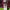 https://res.cloudinary.com/billionhands/image/upload/v1775383397/items/moasrkelyfsyyzxwwb1n.webp-3cover