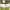 https://res.cloudinary.com/billionhands/image/upload/v1775383707/items/swtwabybapq586qwwcxb.jpg-3cover