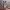 https://res.cloudinary.com/billionhands/image/upload/v1775384442/items/iv0u9znomag71bsgizsl.jpg-2cover