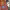 https://res.cloudinary.com/billionhands/image/upload/v1775386580/items/h3qpqariy89tfc3lgnls.jpg-1cover