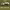 https://res.cloudinary.com/billionhands/image/upload/v1775386584/items/kpebm9ggbh0wa0ppqhet.jpg-2cover