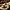 https://res.cloudinary.com/billionhands/image/upload/v1775386741/items/tfuaj9ozor8qgpxhdbhc.jpg-1cover