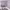 https://res.cloudinary.com/billionhands/image/upload/v1775387187/items/wx6ifdns4zkjdhmrckqv.webp-0cover