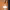 https://res.cloudinary.com/billionhands/image/upload/v1775387190/items/furrln6yboq1b0ho5w7h.webp-2cover