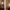https://res.cloudinary.com/billionhands/image/upload/v1775387194/items/ppdyuakdipjyy5rqxutw.jpg-1cover