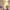 https://res.cloudinary.com/billionhands/image/upload/v1775387200/items/yiv5vqnpsbuu4atckipa.jpg-2cover