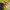 https://res.cloudinary.com/billionhands/image/upload/v1775387539/items/i7vibnv4trglygbuw3e5.jpg-1cover