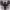 https://res.cloudinary.com/billionhands/image/upload/v1775388845/items/fogiiowmykt0ojbpz5ld.jpg-0cover