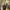 https://res.cloudinary.com/billionhands/image/upload/v1775389989/items/t8sqr7itm6tkfhpeuhwc.jpg-0cover