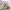https://res.cloudinary.com/billionhands/image/upload/v1775389991/items/man0auxtkzl55prtgi1x.jpg-0cover