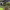 https://res.cloudinary.com/billionhands/image/upload/v1775389997/items/akpkawc1mftvywxwerjn.webp-2cover