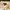 https://res.cloudinary.com/billionhands/image/upload/v1775390174/items/sdlsumizaoimqyzpgdit.jpg-2cover