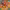 https://res.cloudinary.com/billionhands/image/upload/v1775390175/items/fewbthvjvkzre3o3yjrw.jpg-3cover