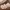 https://res.cloudinary.com/billionhands/image/upload/v1775390178/items/e9getzjtpvsa3c3hvp1d.webp-2cover