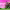 https://res.cloudinary.com/billionhands/image/upload/v1775390193/items/dnxnoxb8pkghulxkrlgb.jpg-0cover