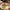 https://res.cloudinary.com/billionhands/image/upload/v1775390567/items/vjwe5r8qbvzi2w2egd4c.jpg-2cover